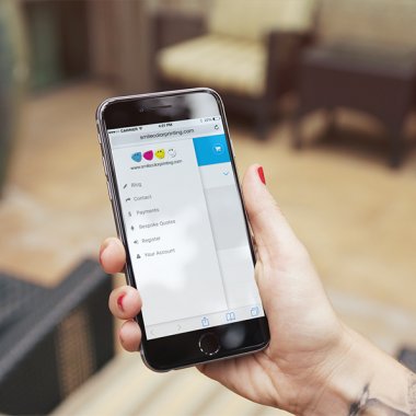 mobile with website menu